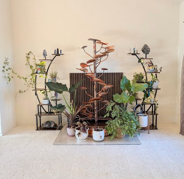 Beauty Begets Beauty